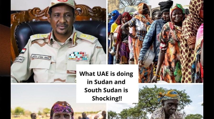 The UAE's Role in Sudan's Conflict and South Sudan’s Economic Woes