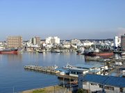 The Myth of Africans Flooding Japan