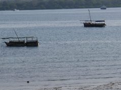Wasini Island’s Elusive Search for Freshwater