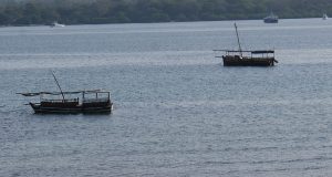 Wasini Island’s Elusive Search for Freshwater