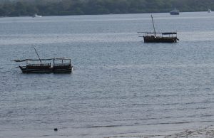 Wasini Island’s Elusive Search for Freshwater