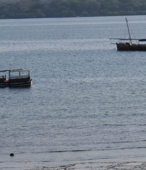 Wasini Island’s Elusive Search for Freshwater