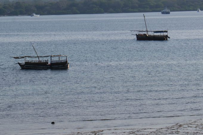 Wasini Island’s Elusive Search for Freshwater