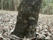 A Pathway to Empowerment for Africa’s Small Businesses