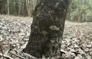 A Pathway to Empowerment for Africa’s Small Businesses