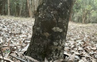 A Pathway to Empowerment for Africa’s Small Businesses