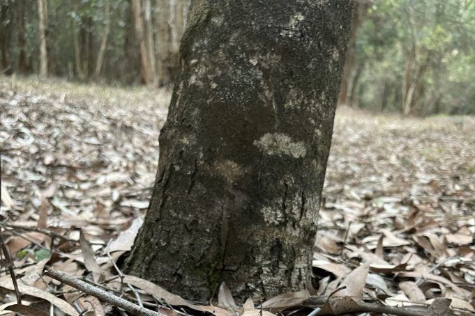 A Pathway to Empowerment for Africa’s Small Businesses