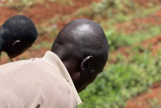 African People’s Commission of Inquiry on the Tanzania Massacre