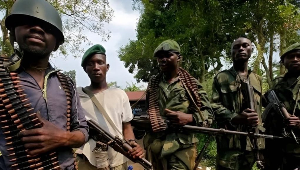 The Pinga Pact: How Congo’s State Birthed Wazalendo Militia